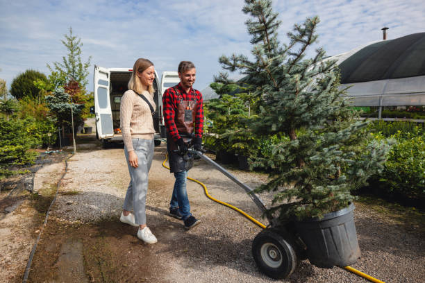 Best Tree Maintenance Programs  in Yardley, PA